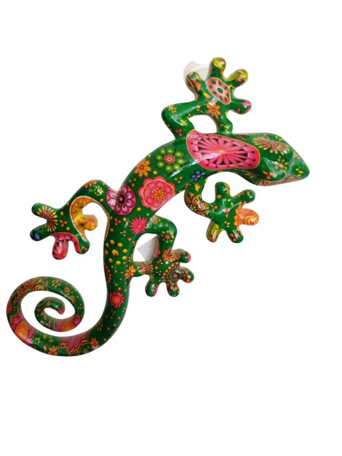 Lézard Salamandre colorée