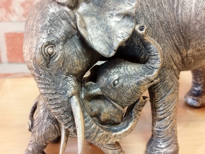 Maman éléphant et son bébé